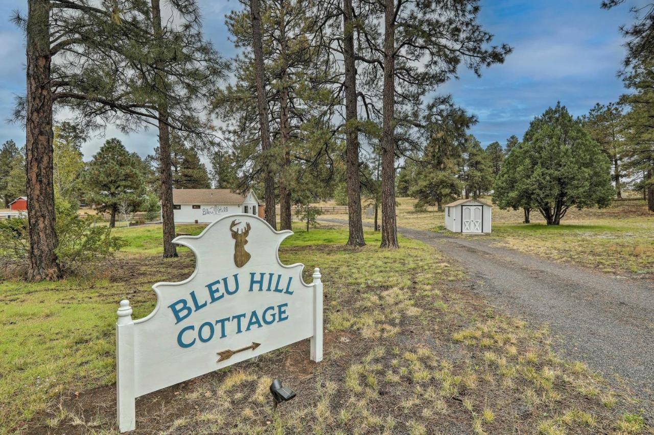 Ski Snow Bowl And Hike Cozy Flagstaff Cottage! Exteriér fotografie
